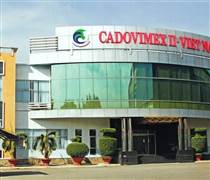 CAD: Cổ phiếu chỉ còn 500 đồng, lỗ lũy kế hơn 1.700 tỷ đồng