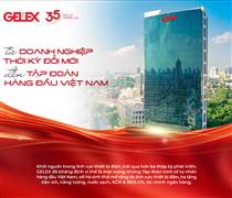 GEX: Từ doanh nghiệp thời kỳ Đổi Mới đến Tập đoàn hàng đầu Việt Nam