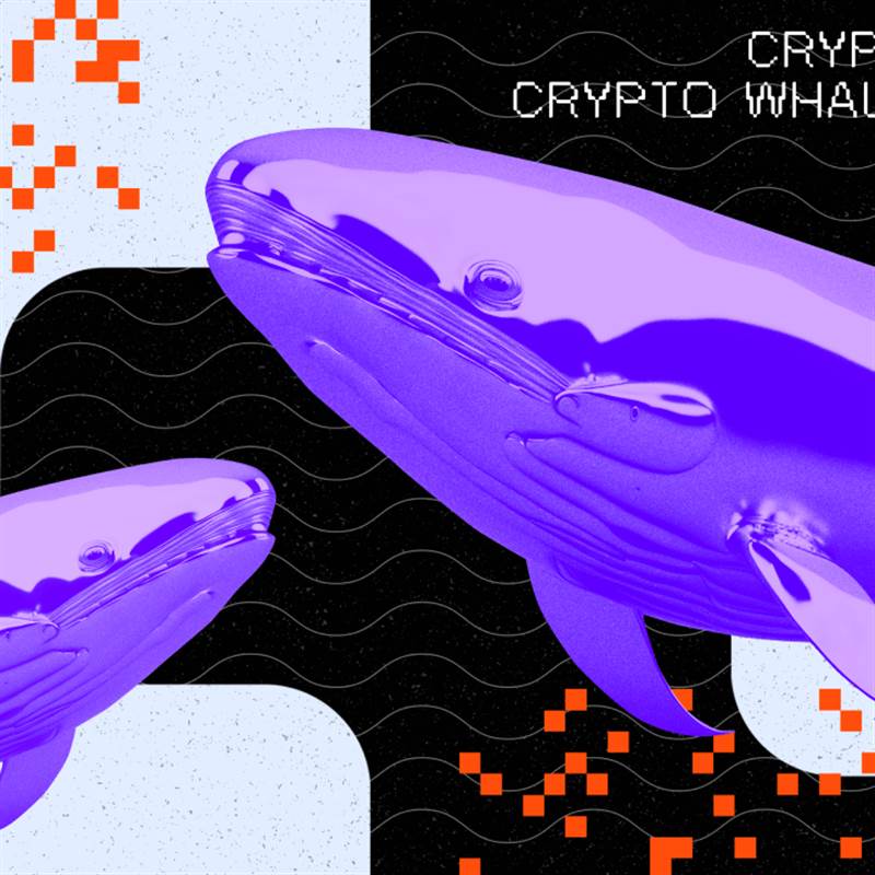 Cá voi đặt cược chống lại token Pump.fun trước ICO khi lệnh short Hyperliquid tăng vọt