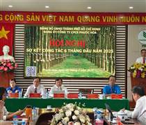 PHR: Cao su Phước Hòa đồng bộ các giải pháp hoàn thành vượt chỉ tiêu được giao