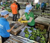 Những doanh nghiệp đầu tiên hé lộ lợi nhuận 6 tháng đầu năm 2025