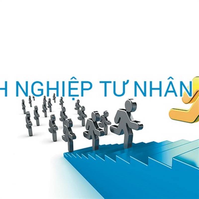 Việt Nam cần nhiều hơn các doanh nghiệp tư nhân chất lượng để chu kỳ tăng trưởng mới “đơm bông, kết trái”