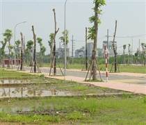 Hoang mang khi tiền sử dụng đất vẫn là ẩn số