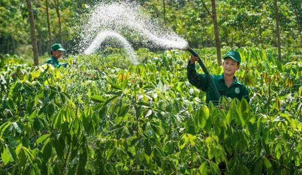 GVR: Đa dạng hóa chiến lược, đột phá hợp tác, dẫn đầu phát t