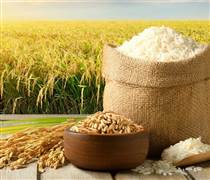 FCS: Foodcosa lỗ lũy kế gần 4 lần vốn chủ sở hữu, cổ phiếu biến động mạnh sau thương vụ 'thoái lui – thâu tóm'