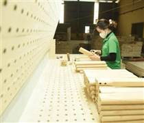 GVR: Những dấu ấn nổi bật của Đảng bộ Tập đoàn Công nghiệp Cao su Việt Nam