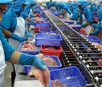 AAM: Thủy sản Mekong thoát lỗ