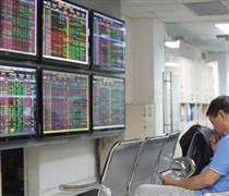 So kè hiệu quả kinh doanh của các công ty chứng khoán có vốn lớn nhất
