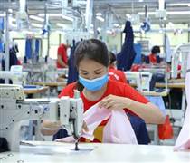 HTG: Dệt may Hòa Thọ báo lãi vượt mốc 185 tỷ bán niên