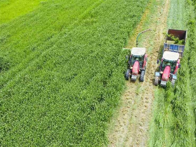 Vinamilk “Mở khóa tự nhiên” tại Green Farm: Mô hình sinh thái truyền cảm hứng doanh nghiệp