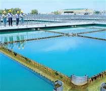 DNW: Lãi quý II/2025 sụt giảm mạnh do lỗ tỷ giá, thu nhập Chủ tịch hơn 1 tỷ đồng