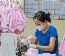Cập nhật kết quả kinh doanh quý 2/2025: Nhiều công ty lãi kỷ lục