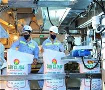 DPM: Đạm Phú Mỹ báo lãi bứt phá quý 2/2025, vượt xa kế hoạch lợi nhuận cả năm