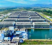 Bộ NN&MT xin ý kiến Thủ tướng về chăn nuôi lợn nhà tầng