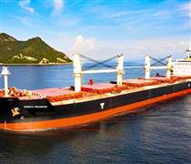 Thị trường tàu hàng khô biến động, nhiều doanh nghiệp giảm lợi nhuận