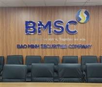 BMS: Nhóm doanh nghiệp dự chi hàng trăm tỷ mua cổ phiếu của Chứng khoán Bảo Minh, họ là ai?