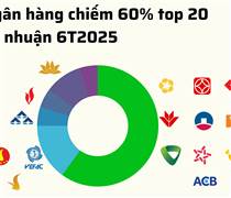 20 doanh nghiệp niêm yết lãi lớn nhất 6T2025: 60% là ngân hàng, 15% là bất động sản, chỉ có 1 DN sản xuất
