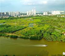 QCG: Hai đại gia mới cho Quốc Cường Gia Lai vay 230 tỉ đồng là ai?