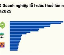 20 doanh nghiệp lỗ lớn nhất 6T2025: Novaland 'vô địch', bất động sản áp đảo, 8 doanh nghiệp lỗ trăm tỷ