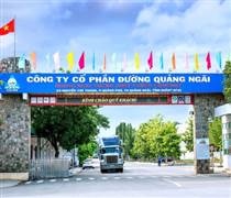 QNS: Đường Quảng Ngãi sắp chi gần 368 tỷ đồng tạm ứng cổ tức đợt 1 năm 2025