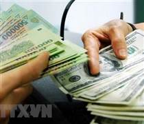 Tỷ giá USD/VND chịu sức ép lớn, lãi suất vay khó giảm sâu cuối năm