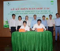 GVR: Cao su Chư Sê hợp tác với Đại học Nông lâm Huế trong phát triển nông nghiệp ứng dụng công nghệ cao