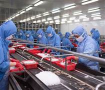 FMC: Sao Ta lãi hơn 139 tỷ đồng