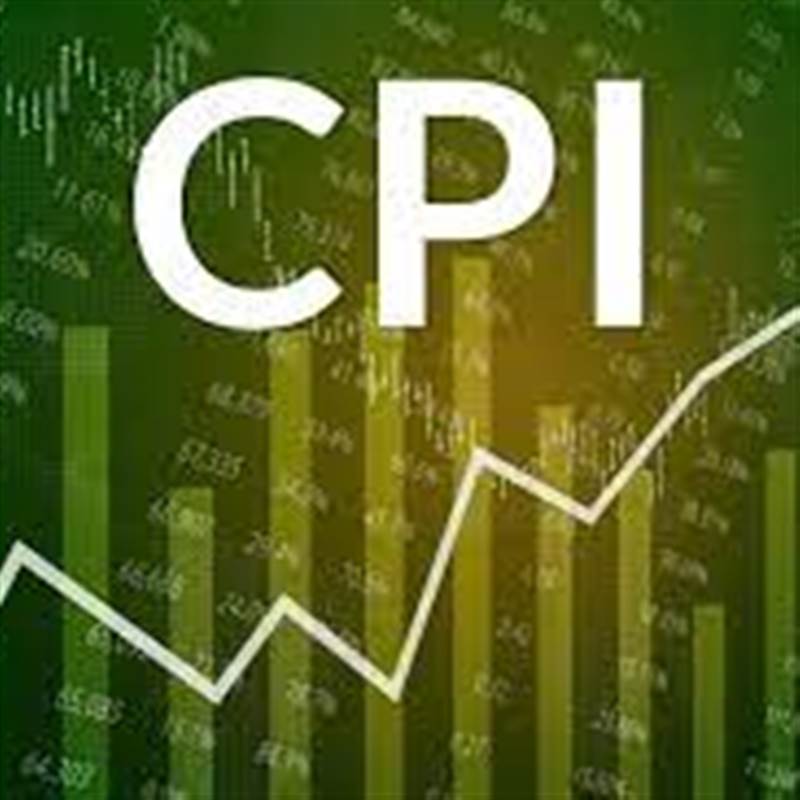 [Infographic] CPI tháng 7 tăng 0,11%