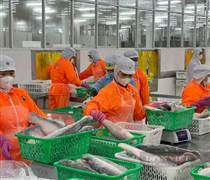 Các đơn vị, địa phương phải chịu trách nhiệm nếu không hoàn thành các nhiệm vụ về chống khai thác IUU