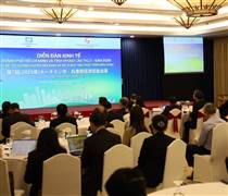 TP.HCM và tỉnh Hyogo (Nhật Bản) đẩy mạnh hợp tác chuyển đổi số - xanh