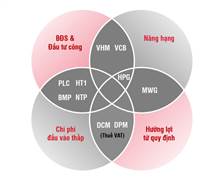 Tháng 8 hứa hẹn nhiều "điềm lành" cho thị trường cổ phiếu