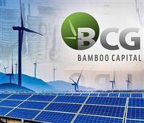 Cổ phiếu “họ” Bamboo Capital bất ngờ được nhà đầu tư “gom” đột biến, đồng loạt tăng “bốc đầu”