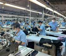 Doanh nghiệp Việt tìm hướng xuất khẩu bền vững sang thị trường Mỹ