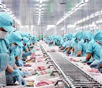 Doanh nghiệp Việt chủ động ứng phó với thuế đối ứng của Mỹ