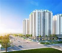 IPA: Lũy kế 6 tháng Đầu tư I.P.A giảm hơn 22% dù lợi nhuận quý 2 tăng mạnh
