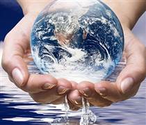 Dòng chảy lợi nhuận ngành nước phân hoá trong nửa đầu năm 2025