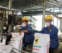Doanh nghiệp phân bón đón “mùa vàng” xuất khẩu nhờ cầu tăng, giá tốt