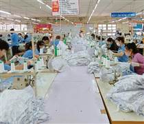 Ngành dệt may ứng phó trước bất lợi về thuế