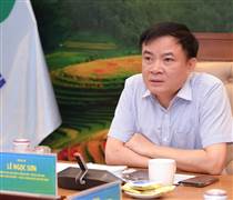Petrovietnam rà soát, tối ưu danh mục đầu tư cho giai đoạn phát triển mới