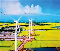 Hỗ trợ ngành năng lượng xanh bứt phá
