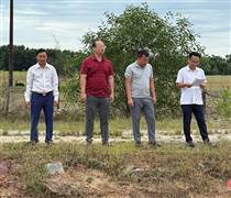 FLC: Khu nông nghiệp công nghệ cao FLC thành vùng đất hoang