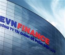 EVF: EVNFinance đổi tên, đổi logo ngay sau kết luận thanh tra