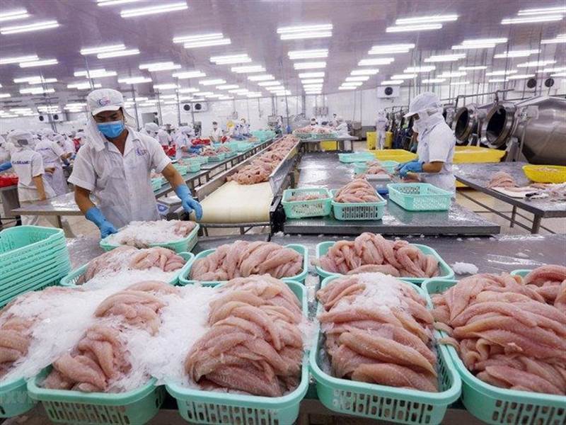Thủy sản Việt tìm hướng vào 'mỏ vàng' châu Âu