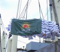 LTG: Lộc Trời giữa tâm bão tài chính