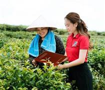 Ngân hàng đề nghị kéo dài cơ cấu nợ nông nghiệp tới 5 năm