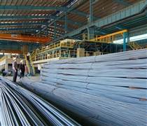 TLH: Cổ phiếu Thép Tiến Lên tiếp tục nằm trong diện cảnh báo