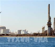 Giá dầu kéo dài đà giảm trước thềm cuộc họp OPEC+