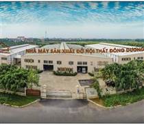 DDB: Xây dựng Đông Dương bị phạt nặng vì công bố thông tin chậm và “vẽ” lợi nhuận ảo