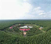 GVR: Đáp ứng EUDR, tiên phong chứng nhận cao su phát thải thấp