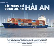 Các nhóm cổ đông lớn tại Hải An